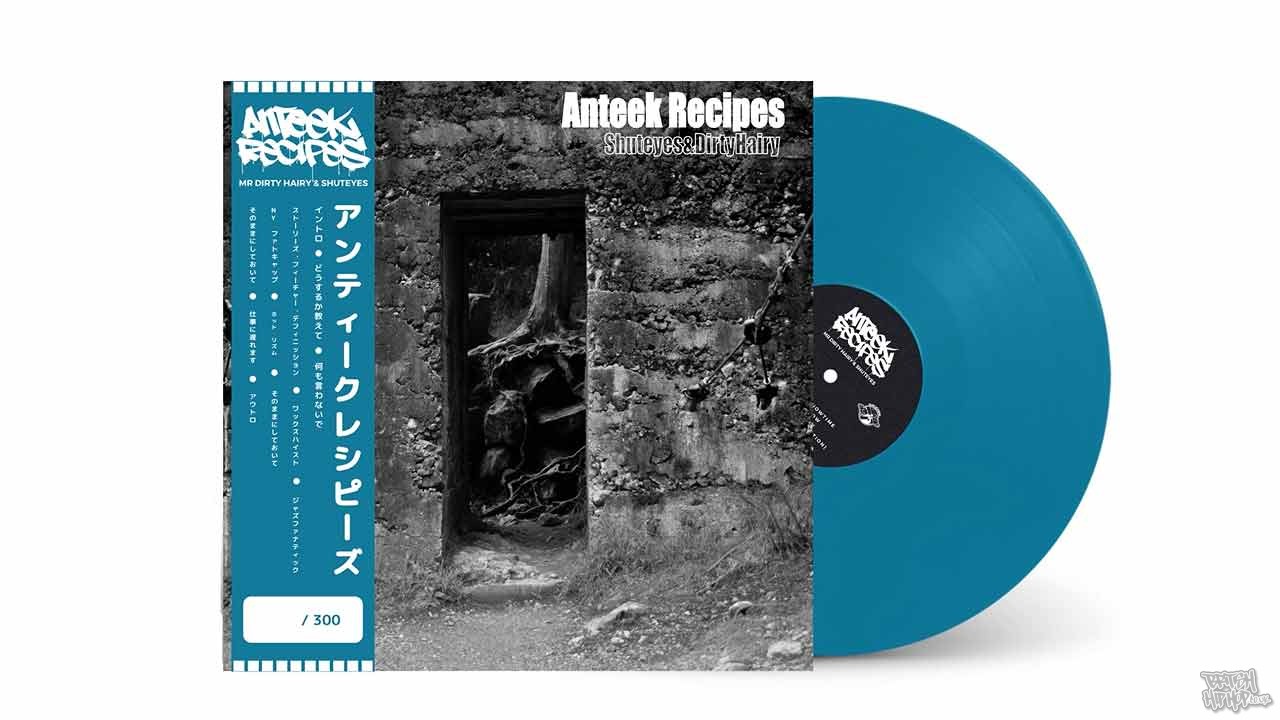 Anteek Recipes - EP (Snippets)