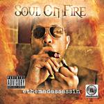 Ethemadassassin - Soul on Fire LP [R Steel Entertainment]