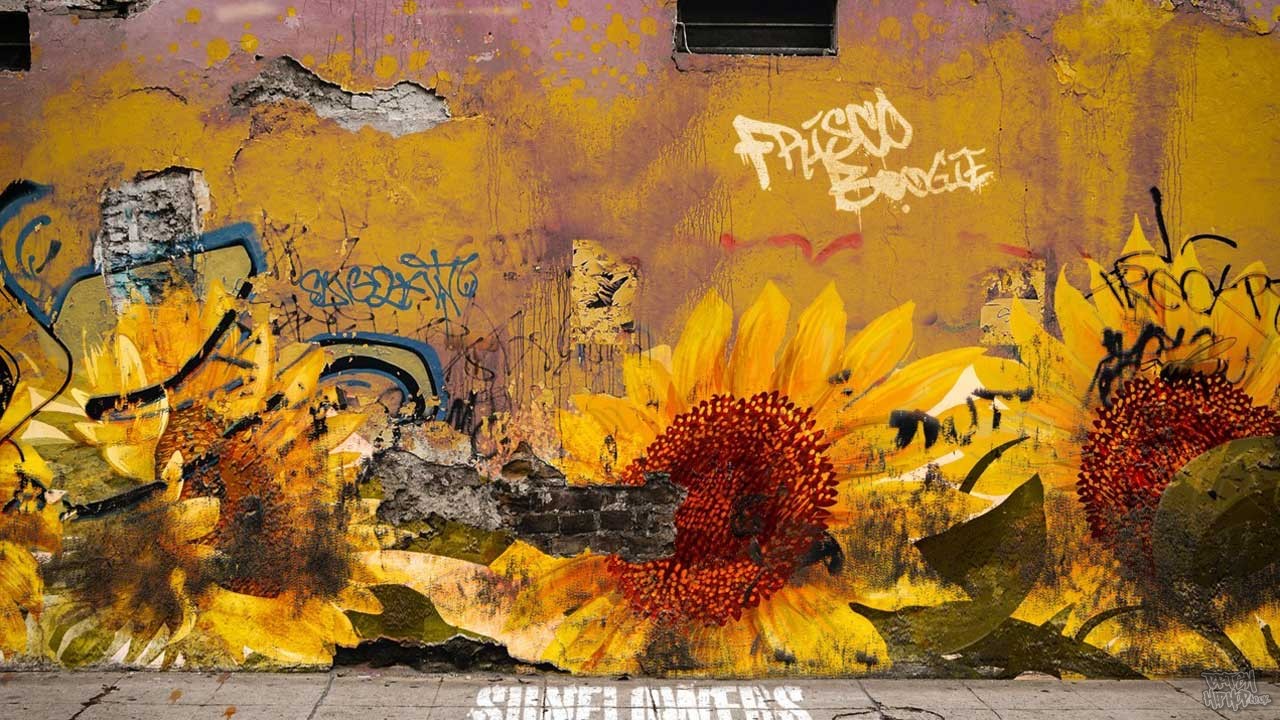 Frisco Boogie - Sunflowers In September