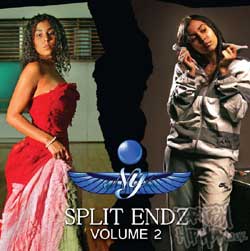 Ny - Split Endz Volume 2 LP [True Tiger]
