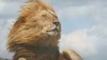 The Fr3e Lions – Lions Law [Video]